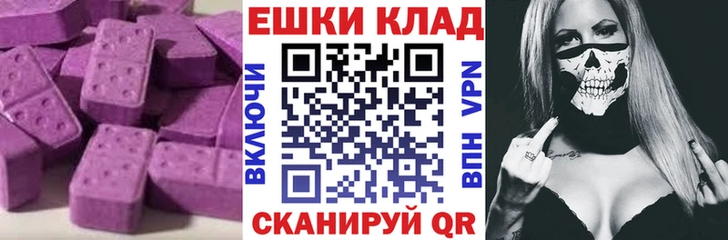 Купить закладки  Благовещенск  ЭКСТАЗИ XTC 