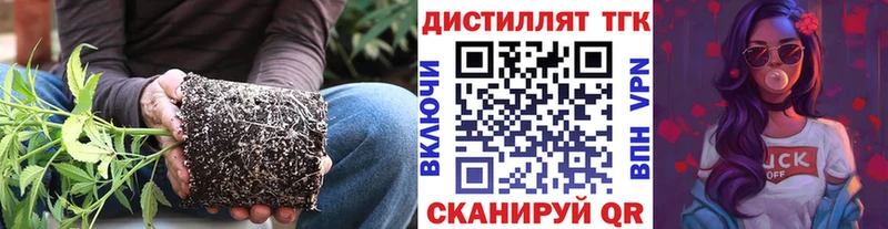 Купить где  Благовещенск  ТГК THC oil 