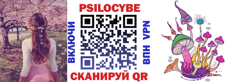 Галлюциногенные грибы Cubensis  Купить закладки  Благовещенск 